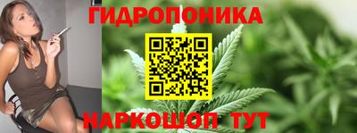 шишки Новокубанск