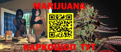 Альфа ПВП Новодвинск